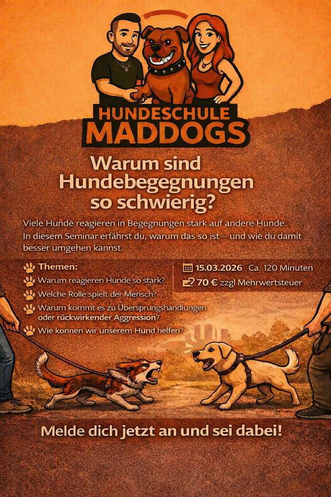 Hundetreffen-Seminar ,,warum sind Hundebegegnungen für viele Menschen so problematisch?"-Profilbild