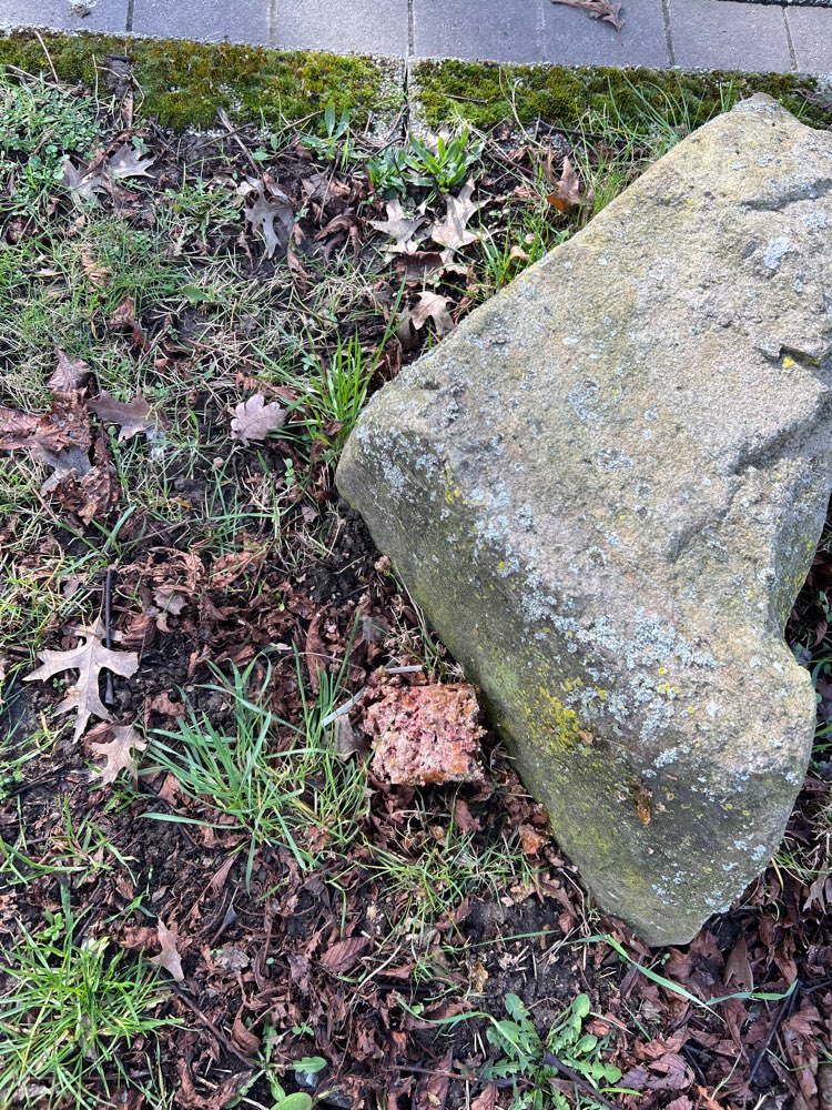 Giftköder-Möglicher Giftköder-Profilbild