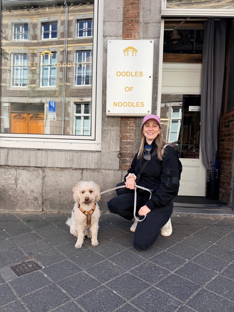Hundetreffen-Gassirunde / Hundefreunde in Herzogenrath oder Aachen-Profilbild
