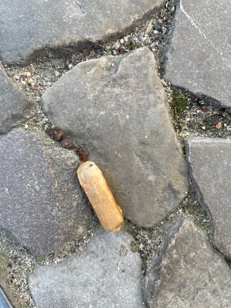 Giftköder-Evtl Gift (Tabletten)-Profilbild