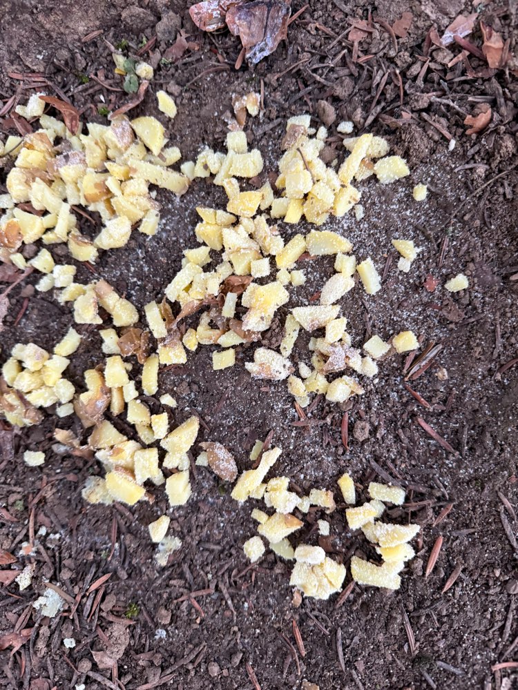 Giftköder-Essensreste mit weißem Pulver-Profilbild