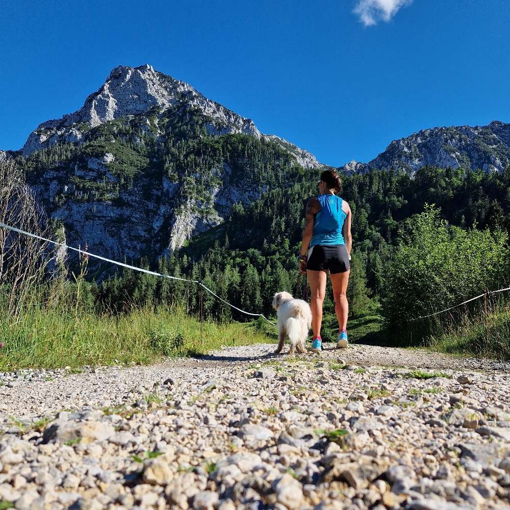 Hundetreffen-Suchen Spiel- Trainings- und Sportfreunde-Profilbild