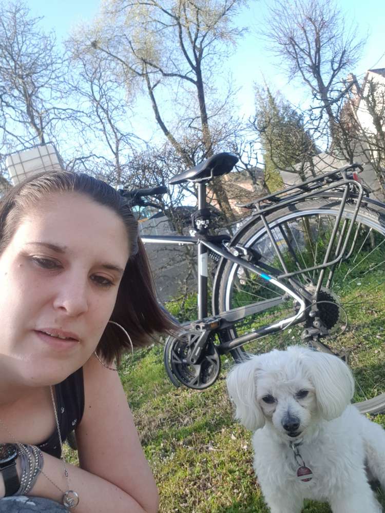 Hundetreffen-Neue Freunde finden ♥️-Profilbild