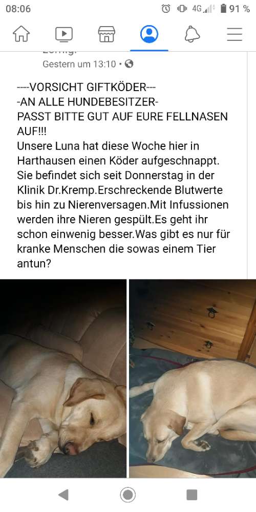 Giftköder-Giftköder in Harthausen-Profilbild