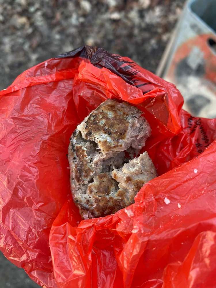 Giftköder-Giftköder-Profilbild