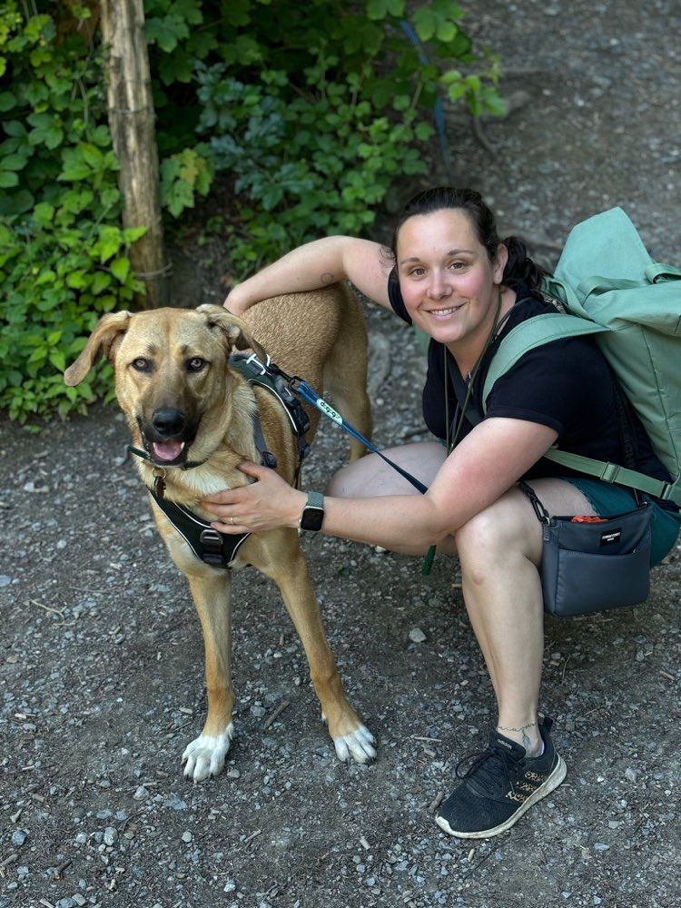 Hundetreffen-Spielrunde-Profilbild