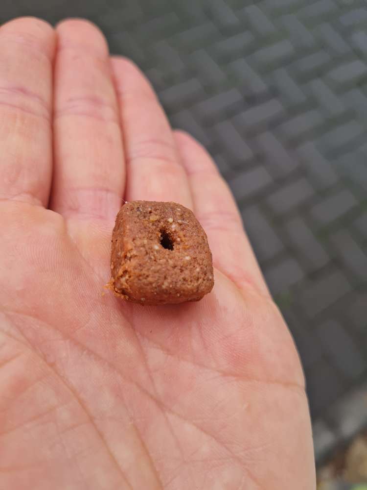 Giftköder-Mögliche Giftköder-Profilbild