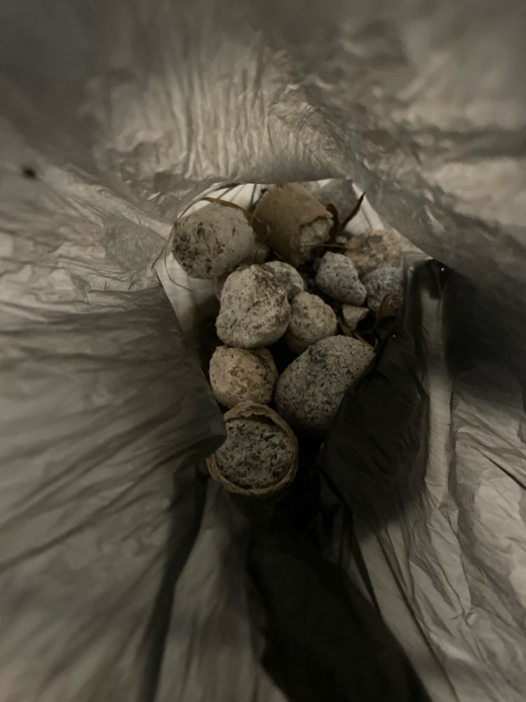 Giftköder-Giftköder Skatepark Johannesfeld-Profilbild