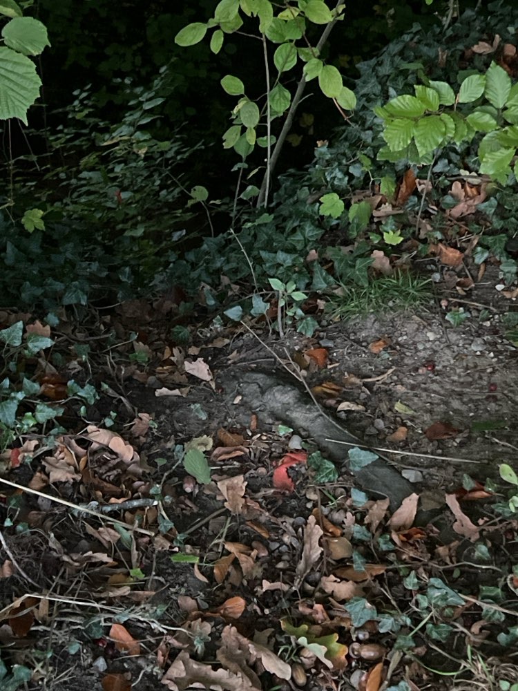 Giftköder-Potentielle Giftköder-Profilbild