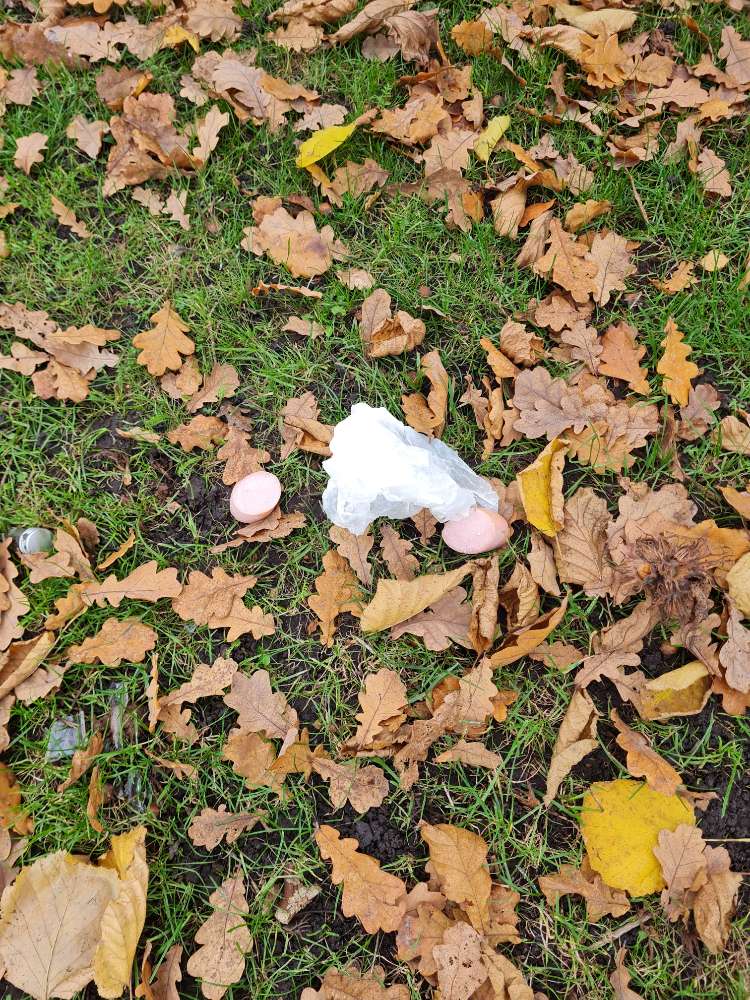 Giftköder-Knochen, Wurst und Speck-Profilbild