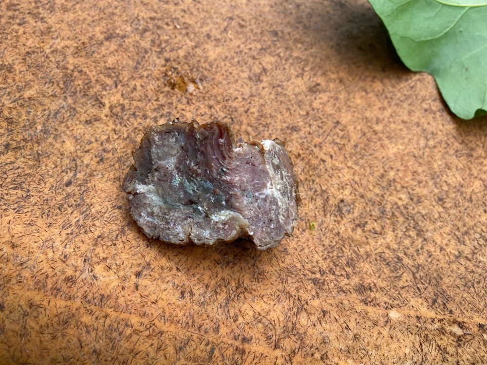 Giftköder-Möglicher Giftköder-Profilbild