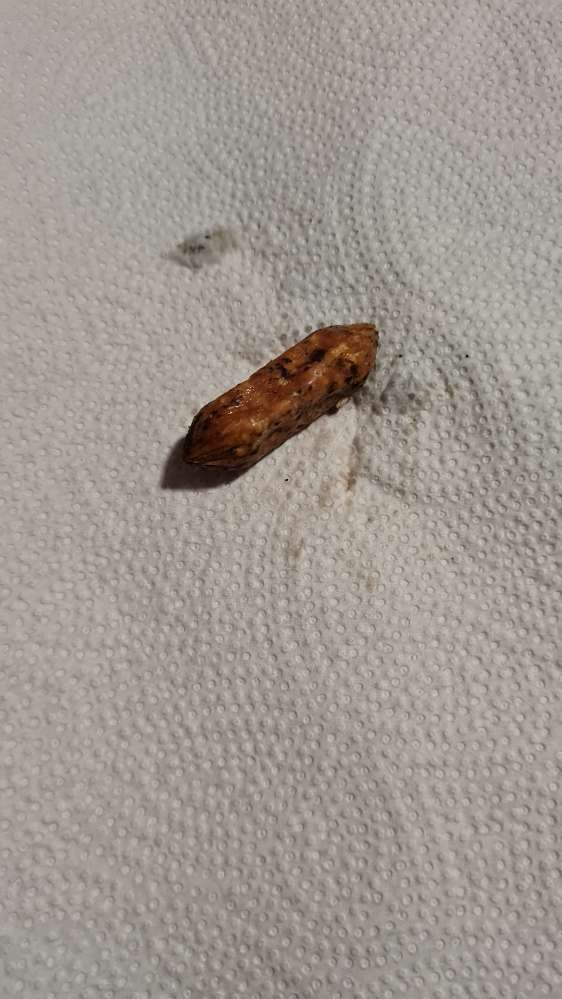 Giftköder-Verdacht auf Giftköder -kleine Würstchen-Profilbild