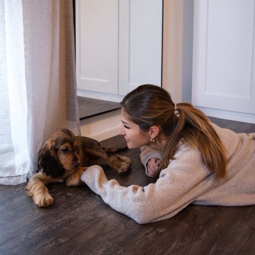 Hundetreffen-Spielkontakte (in der Nähe von 97456 Hambach)-Profilbild