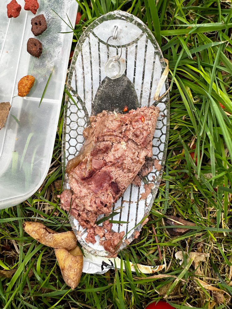 Giftköder-Nassfutter und Trockenfutterreste-Profilbild