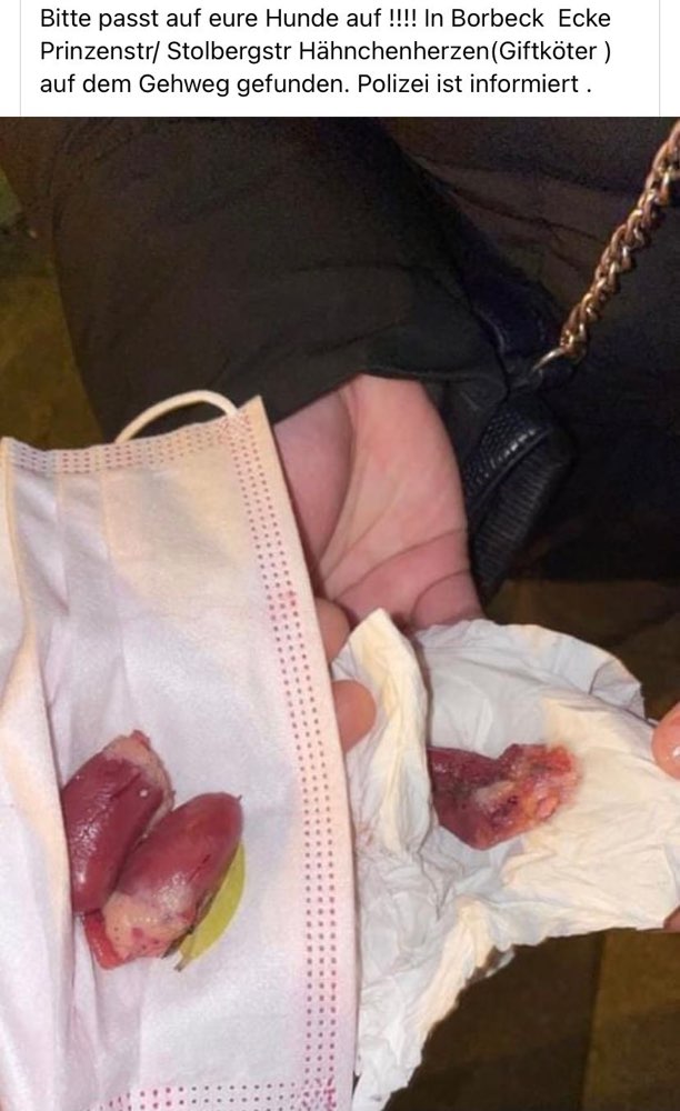 Giftköder-Achtung ! Gespickte Hühnerherzen-Profilbild