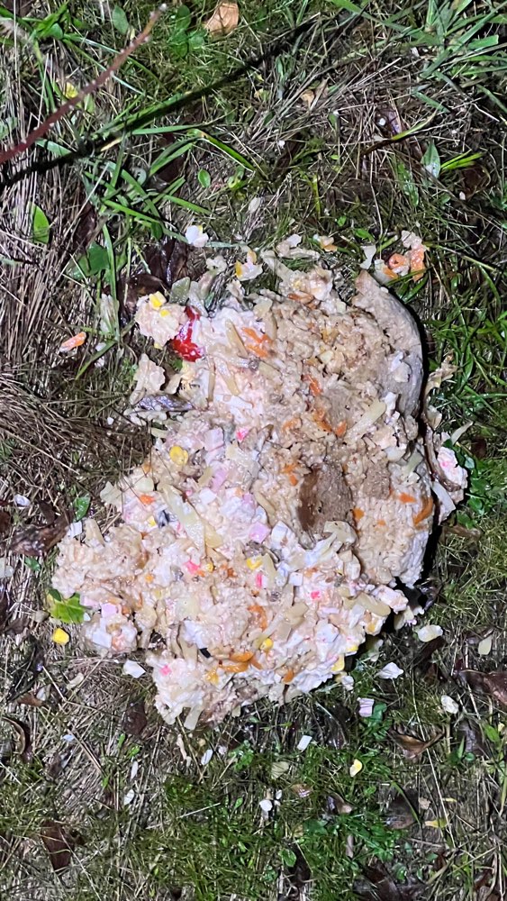 Giftköder-Essensreste-Profilbild