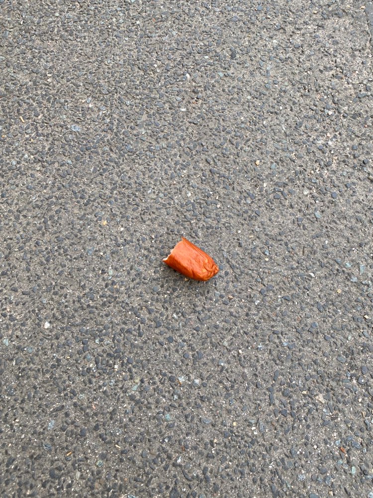 Giftköder-Wurststücke-Profilbild