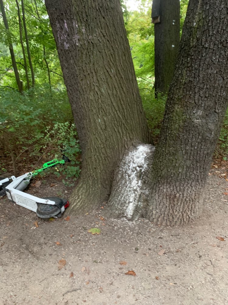 Giftköder-Giftköder-Profilbild