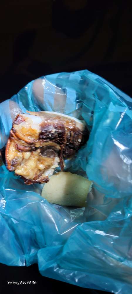 Giftköder-Fleischstücke und Innereien-Profilbild