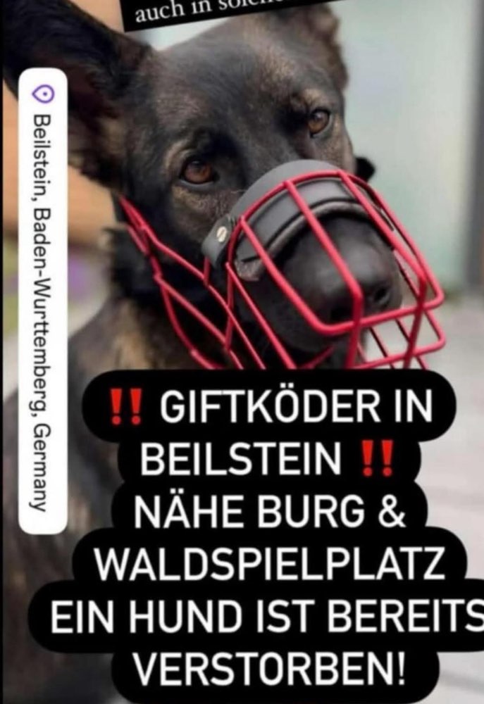 Giftköder-Giftköder-Profilbild