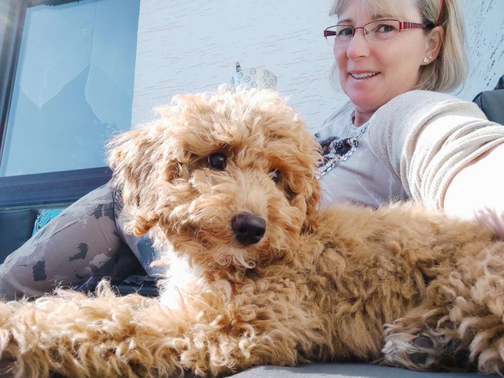 Hundetreffen-Gassirunde in Detmold und Umgebung-Profilbild