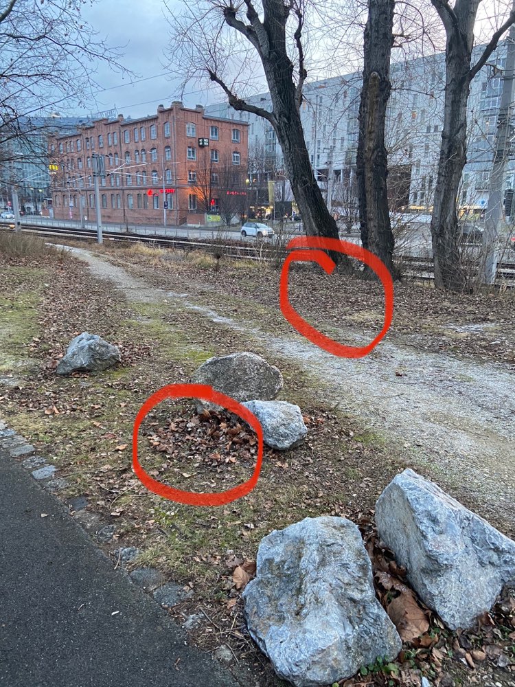 Giftköder-Verdächtiges Essen + Hundekuchen-Profilbild