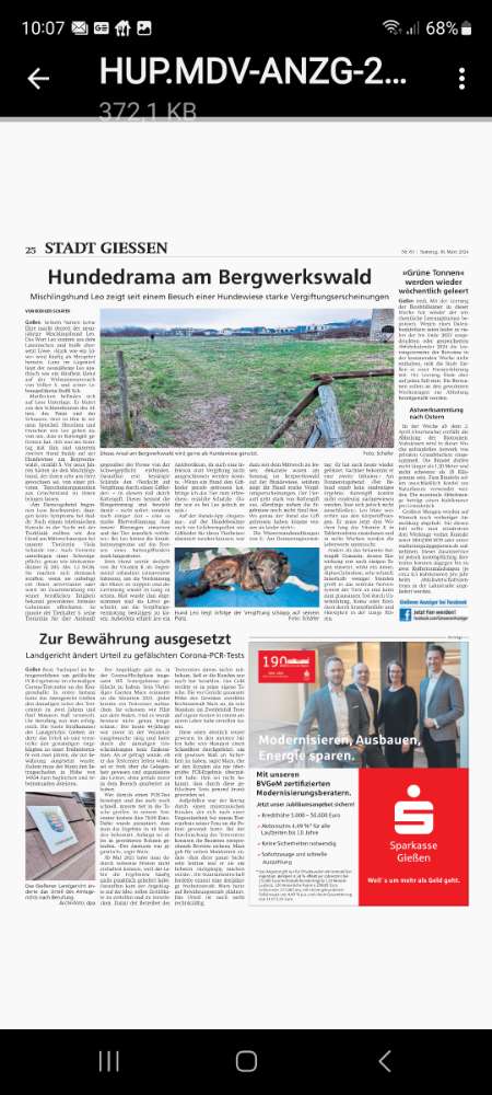 Giftköder-Vermutlich Rattengift-Profilbild