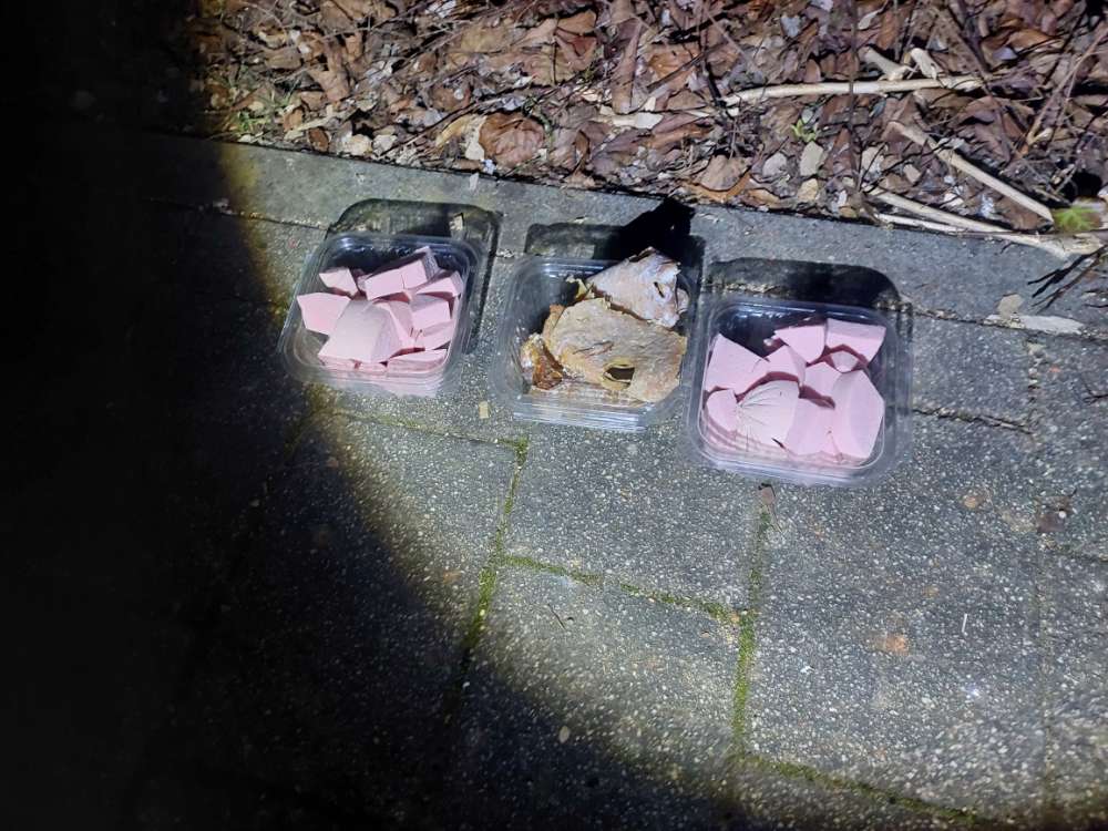 Giftköder-Wurst- & Schinken-Stücke, Földerichplatz-Profilbild