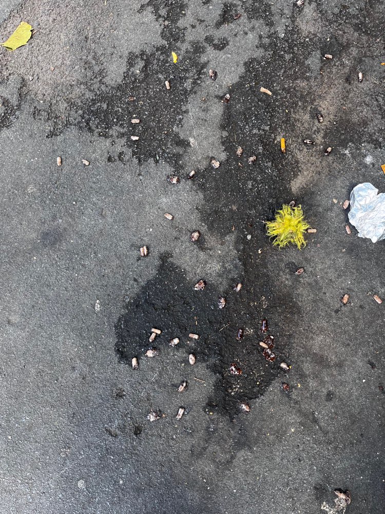 Giftköder-Tabletten-Profilbild