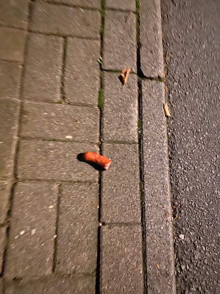 Giftköder-Wurstköder-Profilbild