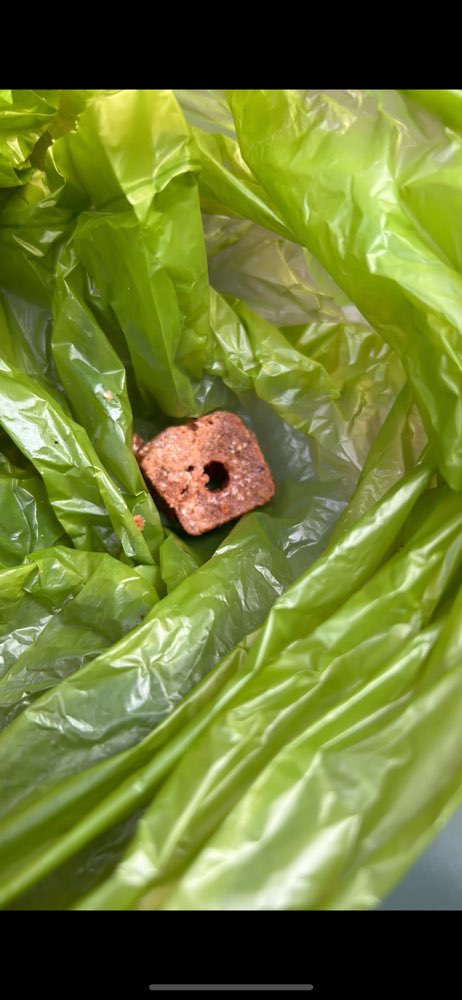 Giftköder-Evtl. Giftköder-Profilbild