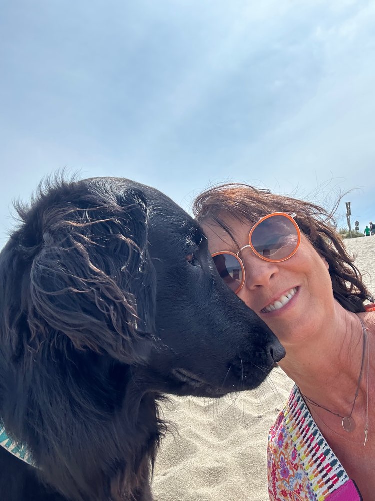 Hundetreffen-Gassirunden (Freilauf) mit Training nach Lust und Laune-Profilbild