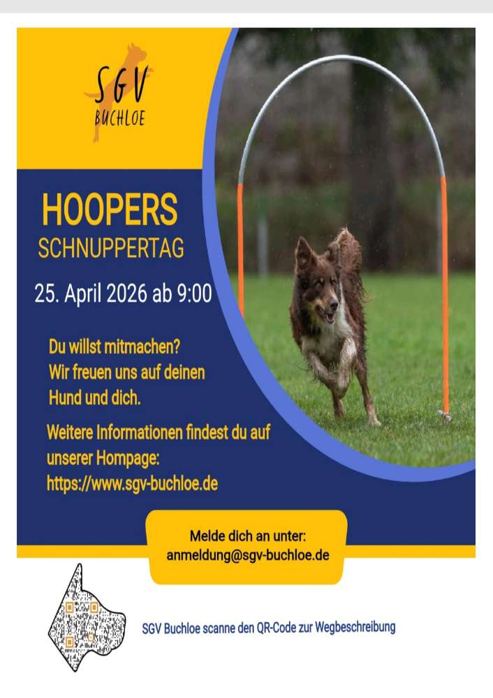 Hundetreffen-Schnuppertag Hoopers in Buchloe-Profilbild