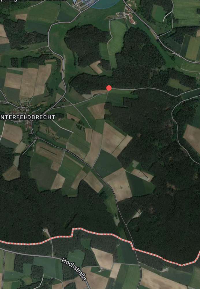 Giftköder-Teile von gebackenem Karpfen-Profilbild