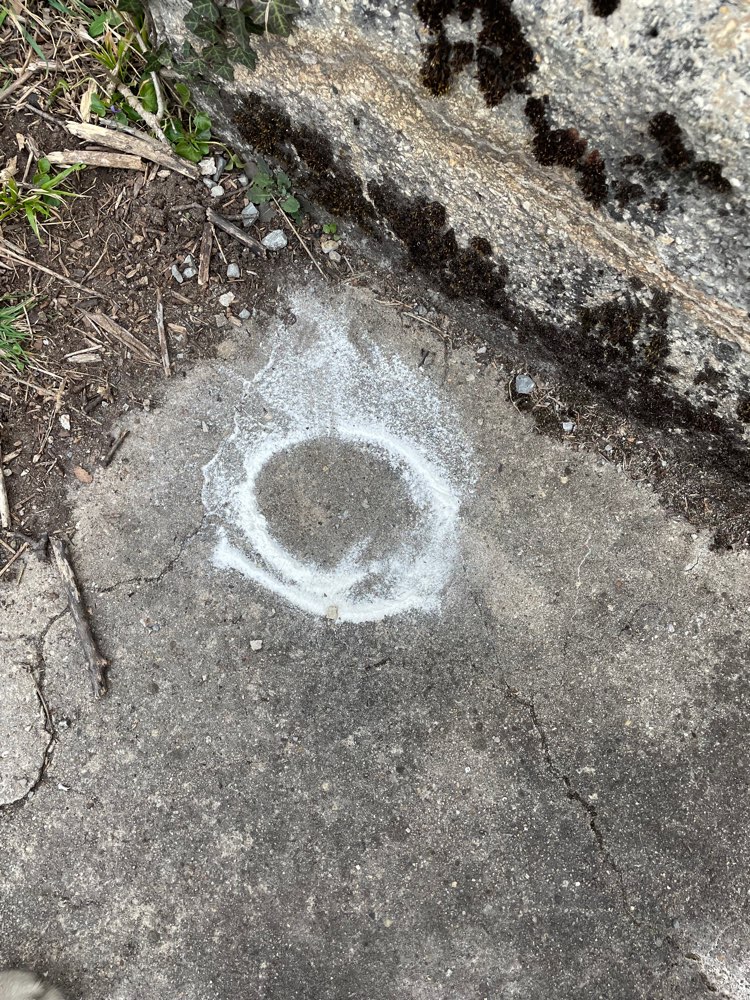 Giftköder-Weißes Pulver im heslacher Wald-Profilbild