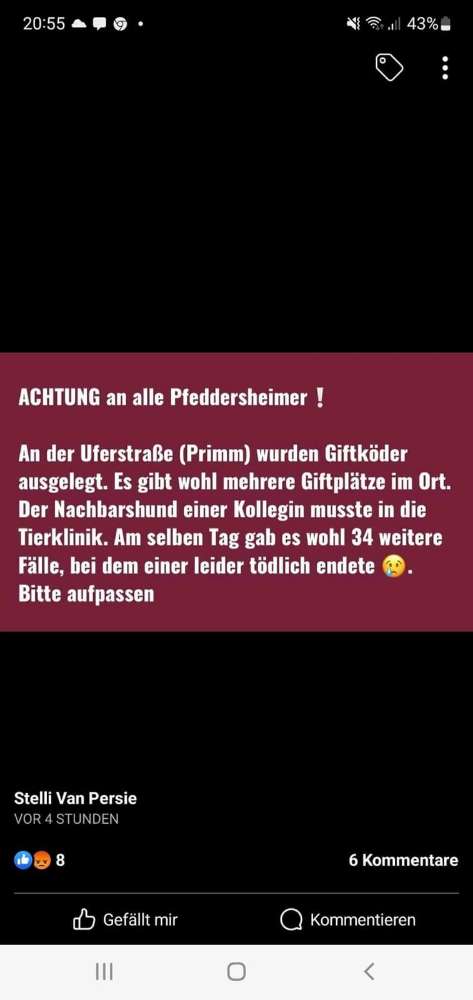 Giftköder-Giftköder-Profilbild
