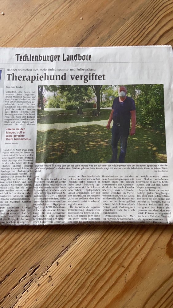 Giftköder-Therapiehund vergiftet-Profilbild