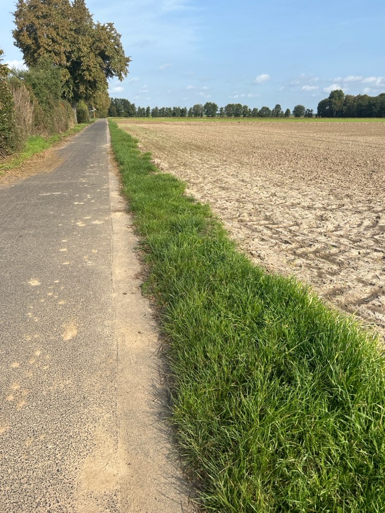 Giftköder-Schneckenkorn auf den Feldern-Profilbild