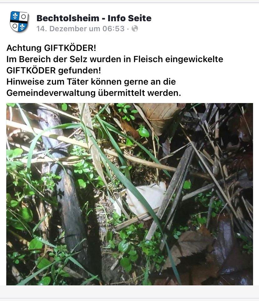 Giftköder-Giftköder verteilt an der Bach-Profilbild