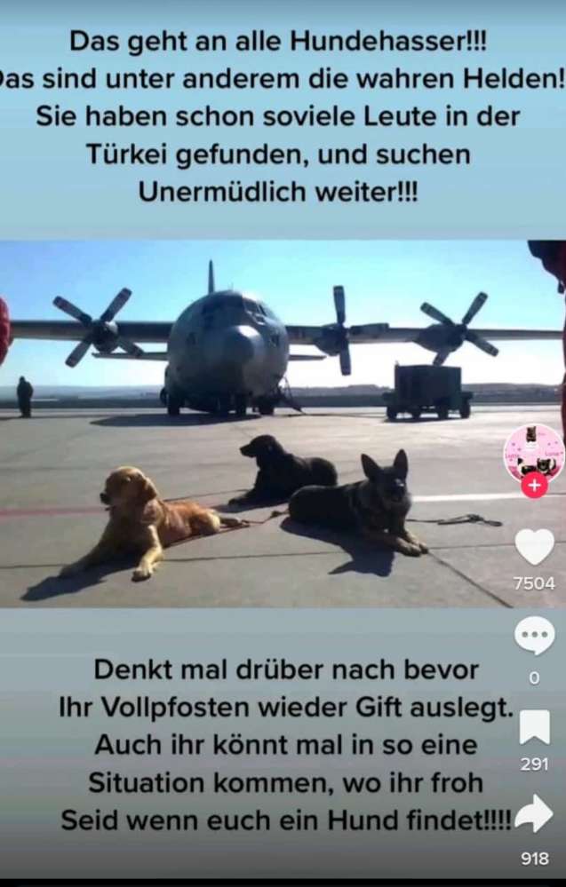 Giftköder-Alter Mann legt vermutliche Giftköder-Profilbild