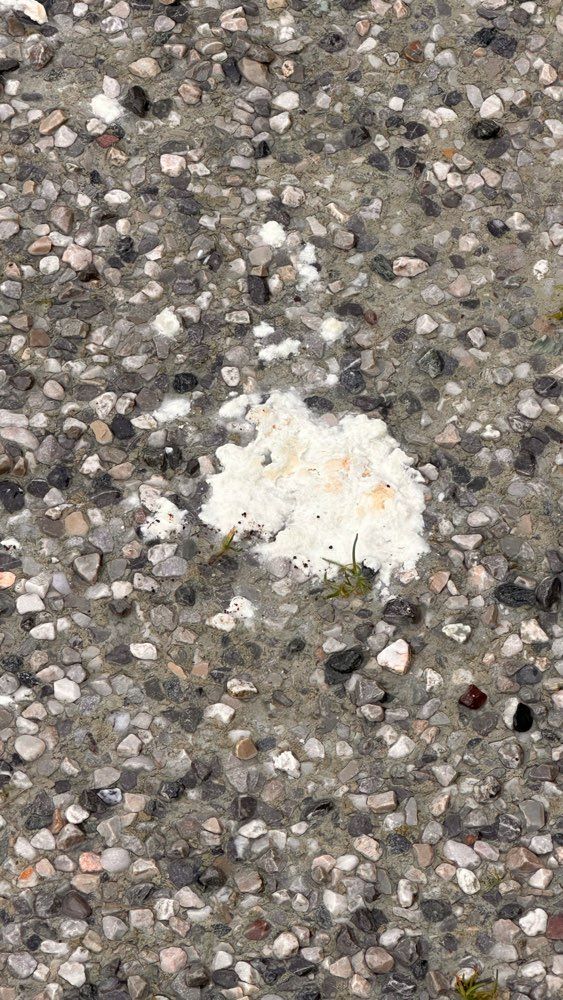 Giftköder-Weißes Zeug Gehweg-Profilbild