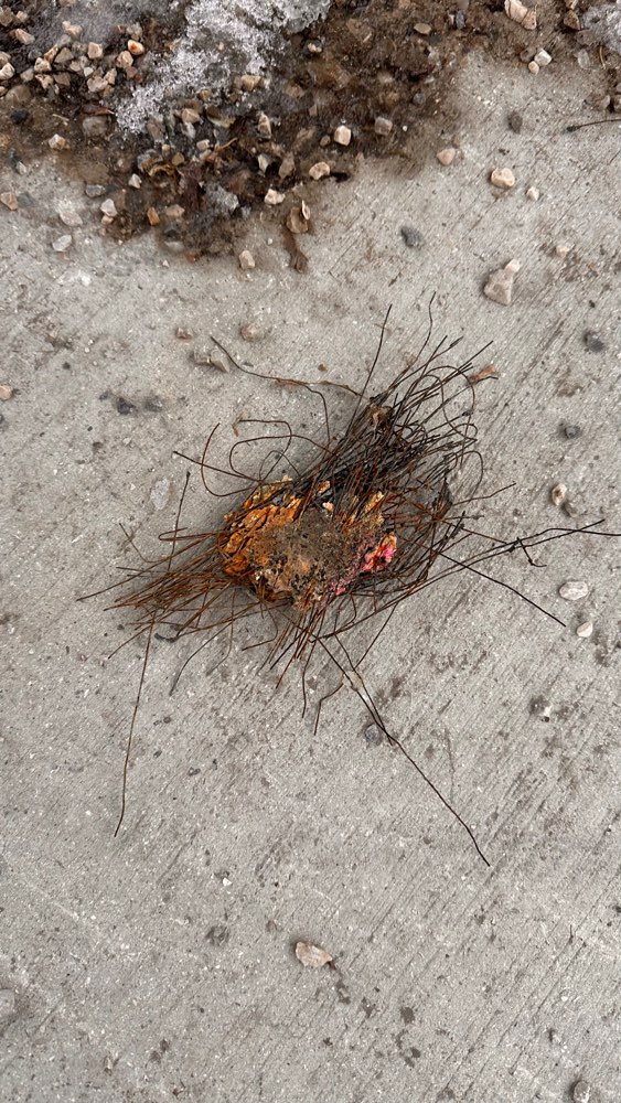 Giftköder-Metallgitter mit unbekannter Substanz-Profilbild