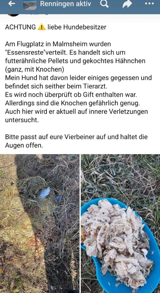 Giftköder-Essensreste auf dem Flugplatz Malmsheim-Profilbild