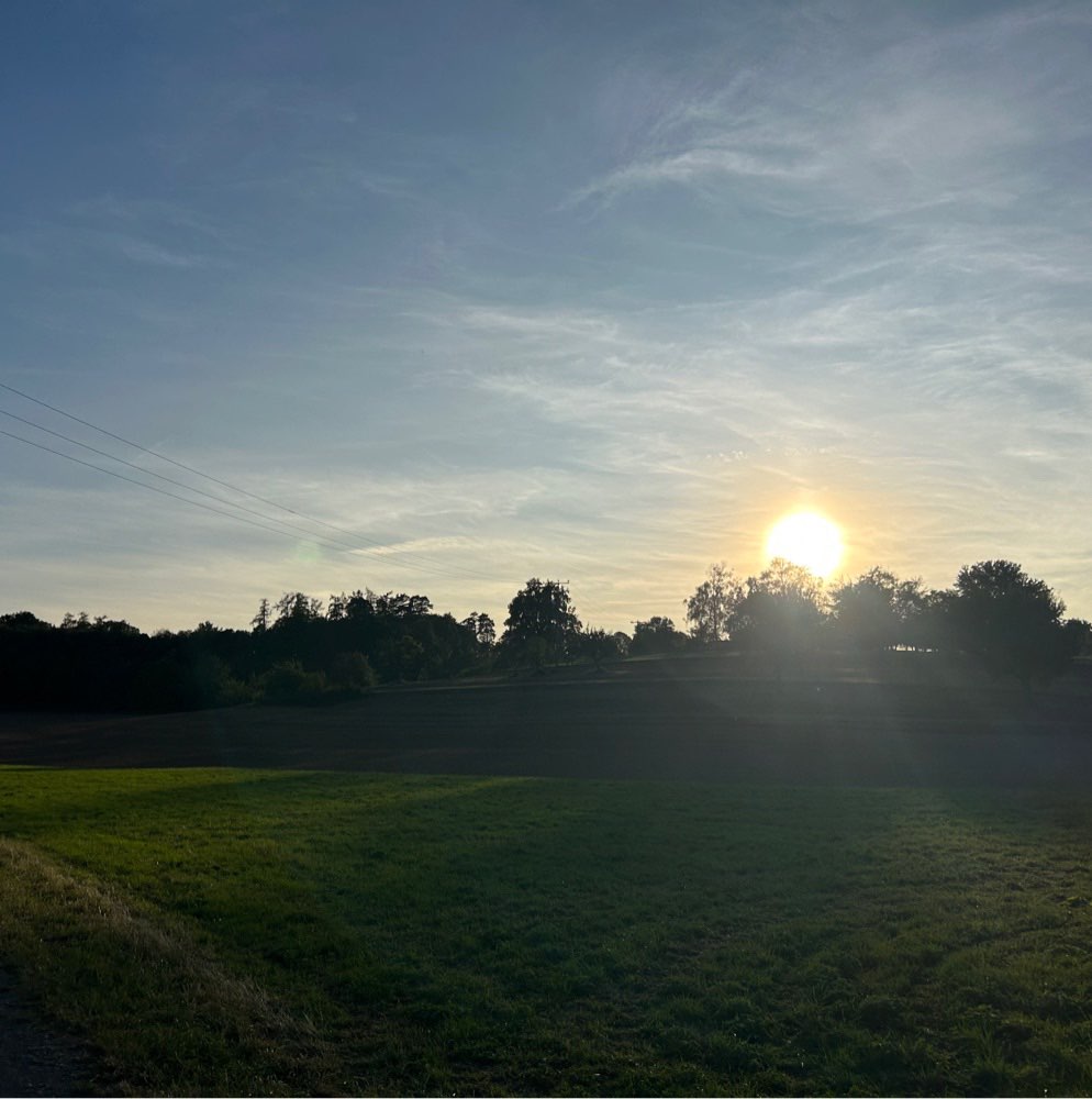 Hundetreffen-Hundebegegungen üben, mit einem Hund evtl. im Wechsel-Profilbild
