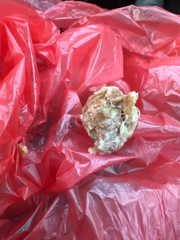 Giftköder-Fleisch (evt.Giftköder)-Profilbild