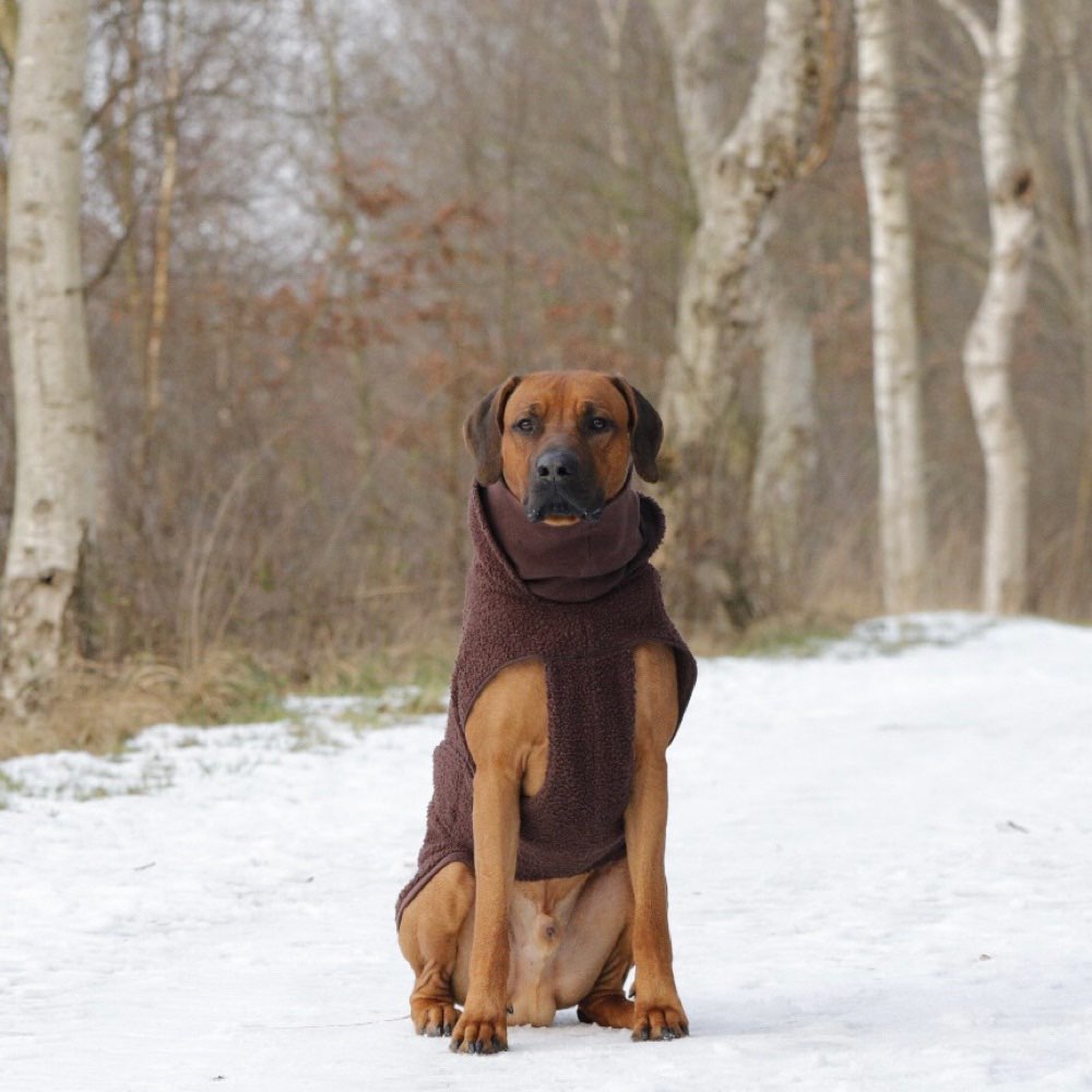 Hundetreffen-Playdates und Trainingstreffen-Profilbild