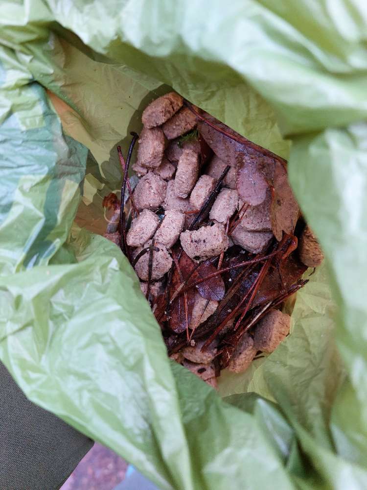 Giftköder-Giftköder oder undefinierbares Futter-Profilbild