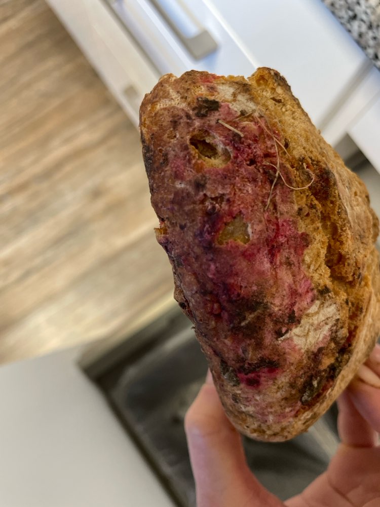 Giftköder-Giftköder mit Rattengift-Profilbild