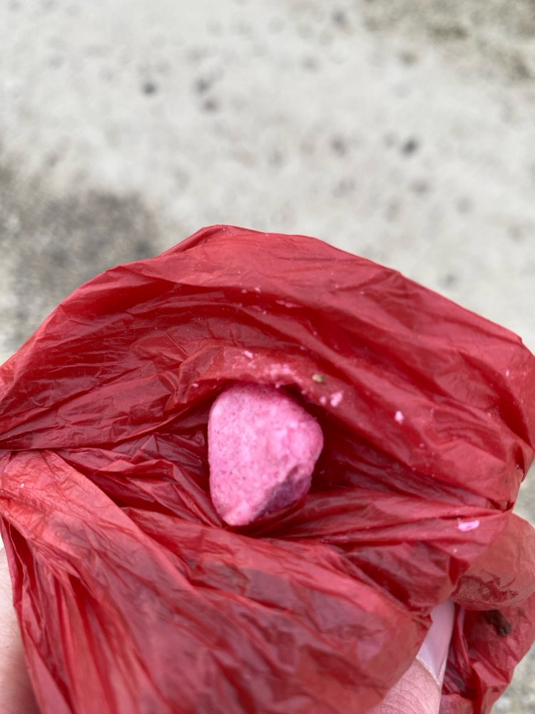 Giftköder-Möglicher Giftköder-Profilbild