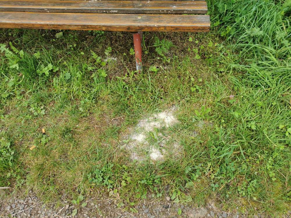 Giftköder-Weißes Pulver-Profilbild